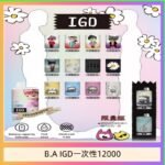 B.A IGD12000口 電子煙