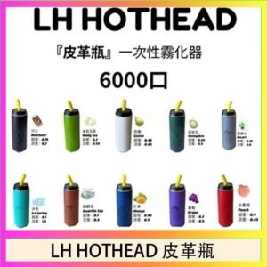 LH HOTHEAD皮革瓶電子煙可充電6000口一次性