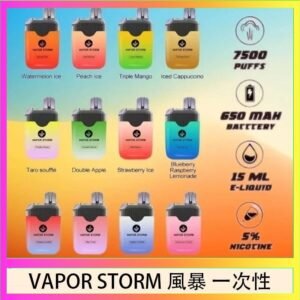 Vapor Storm風暴電子煙7500口（5%）一次性